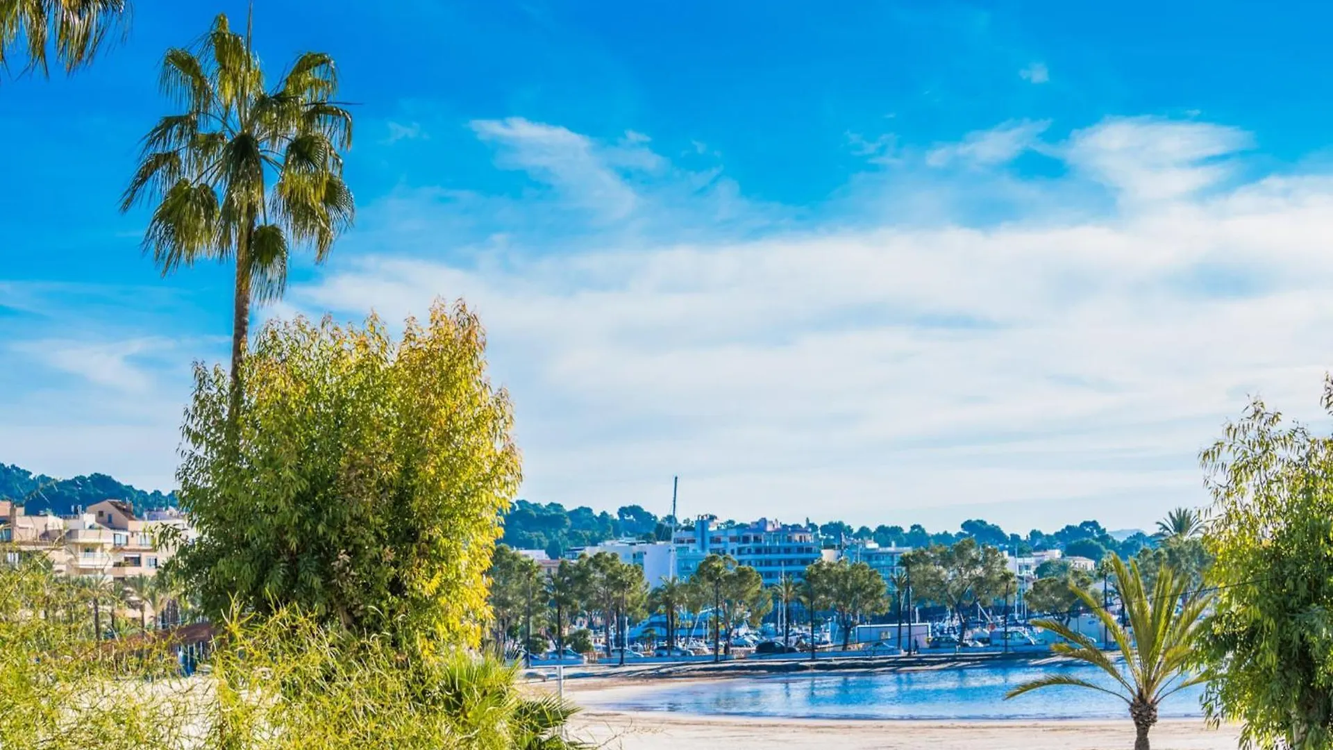 Modernized Apartment With Sea Views Alcudia