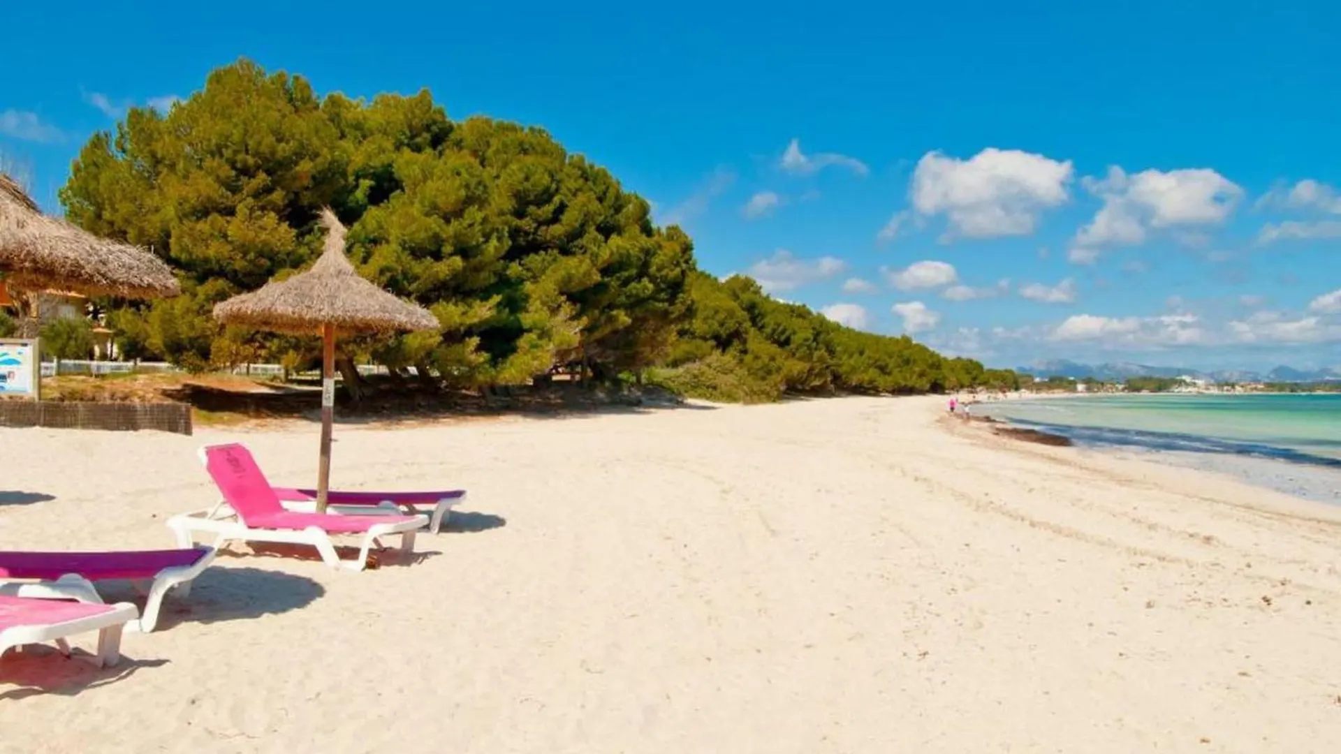 Modernized Apartment With Sea Views Alcúdia Španělsko